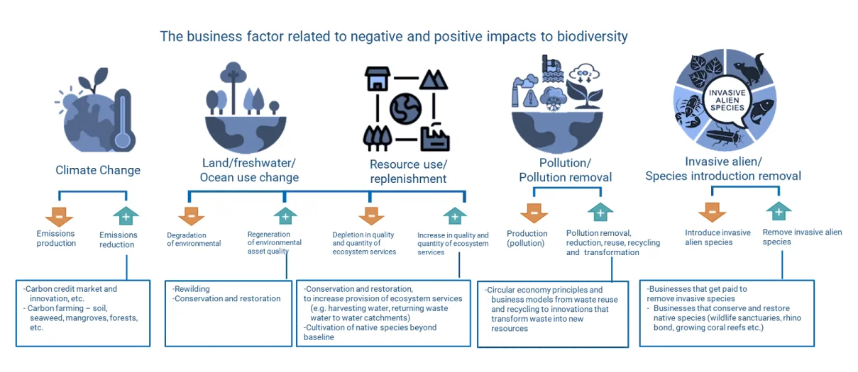 Commitment to biodiversity management